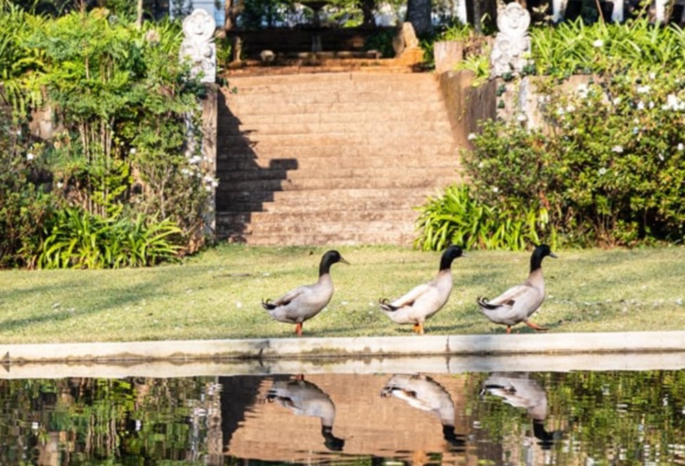 Kings Walden Garden Manor